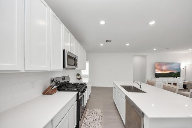26427 Virginia Wild Rye Lane, Katy, TX 77493