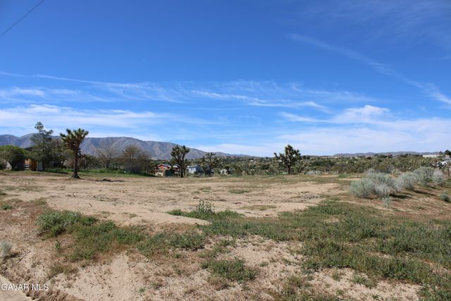 E 136th St E & Ave W-11 Street, Pearblossom, CA 93553