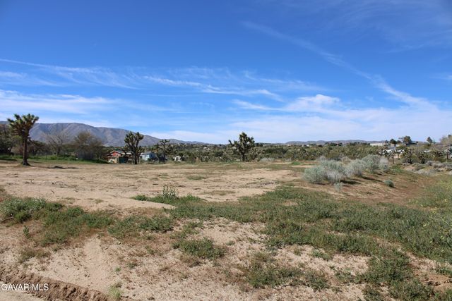 E 136th St E & Ave W-11 Street, Pearblossom, CA 93553