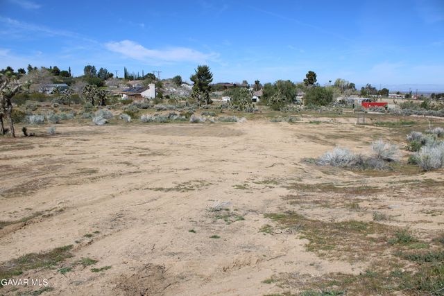 E 136th St E & Ave W-11 Street, Pearblossom, CA 93553