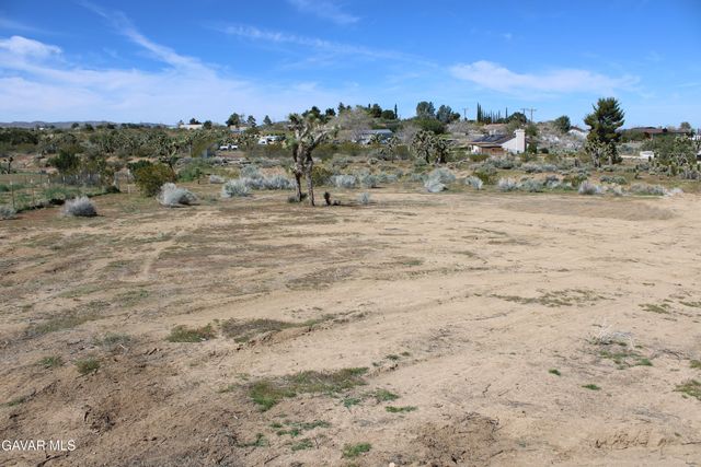 E 136th St E & Ave W-11 Street, Pearblossom, CA 93553