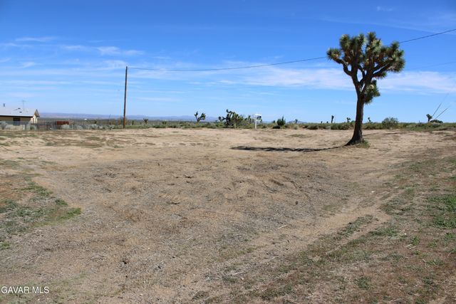 E 136th St E & Ave W-11 Street, Pearblossom, CA 93553