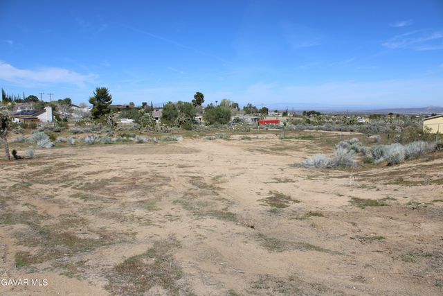 E 136th St E & Ave W-11 Street, Pearblossom, CA 93553