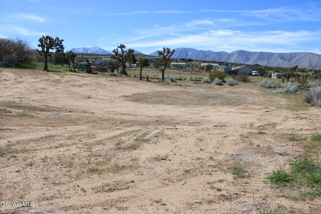 E 136th St E & Ave W-11 Street, Pearblossom, CA 93553