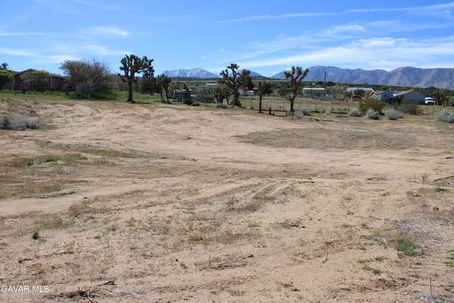 E 136th St E & Ave W-11 Street, Pearblossom, CA 93553