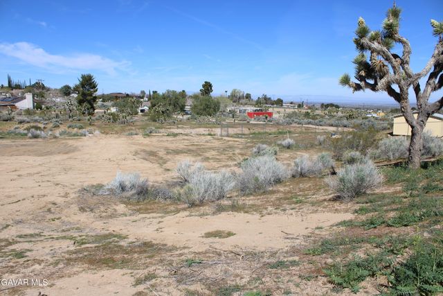 E 136th St E & Ave W-11 Street, Pearblossom, CA 93553