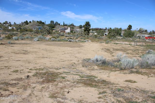 E 136th St E & Ave W-11 Street, Pearblossom, CA 93553