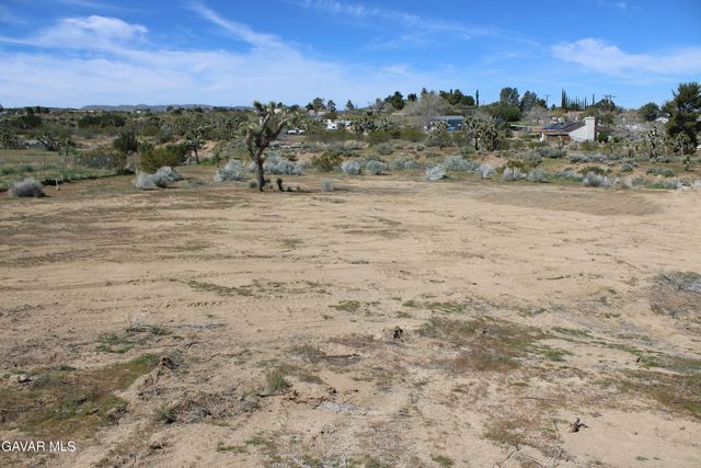 E 136th St E & Ave W-11 Street, Pearblossom, CA 93553