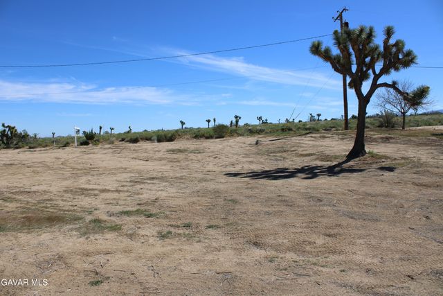 E 136th St E & Ave W-11 Street, Pearblossom, CA 93553