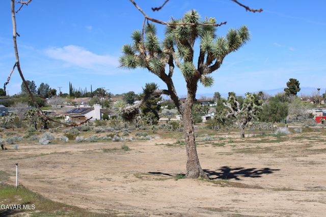 E 136th St E & Ave W-11 Street, Pearblossom, CA 93553