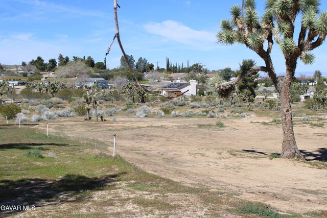 E 136th St E & Ave W-11 Street, Pearblossom, CA 93553