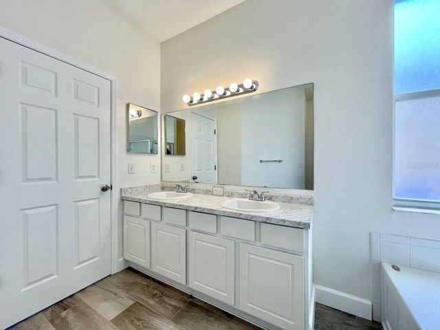 18417 MEADOW BLOSSOM LANE, Tampa, FL 33647