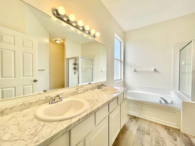 18417 MEADOW BLOSSOM LANE, Tampa, FL 33647
