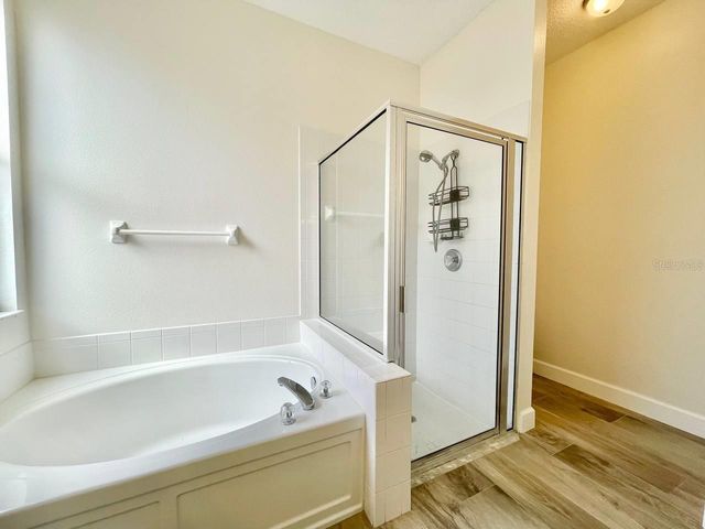 18417 MEADOW BLOSSOM LANE, Tampa, FL 33647