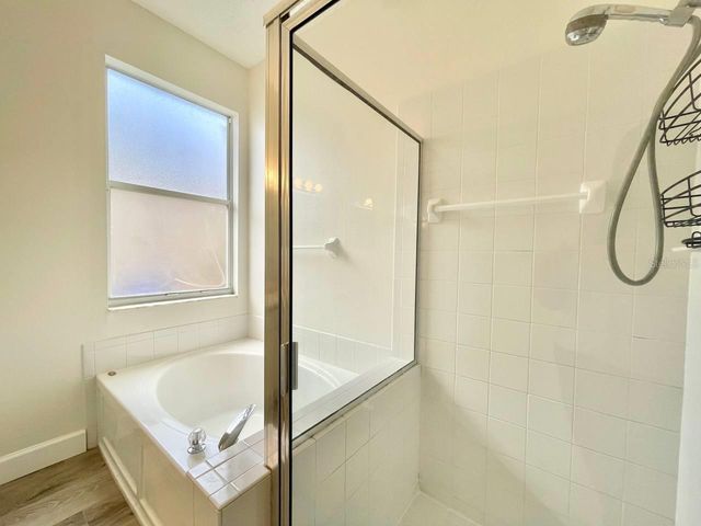 18417 MEADOW BLOSSOM LANE, Tampa, FL 33647