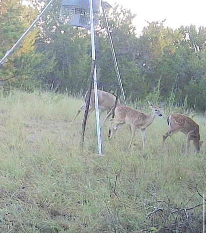 3828 W Fm 219, Hico, TX 76457