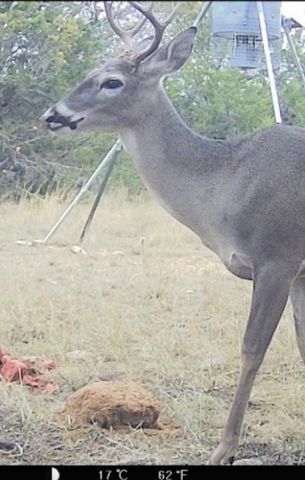 3828 W Fm 219, Hico, TX 76457