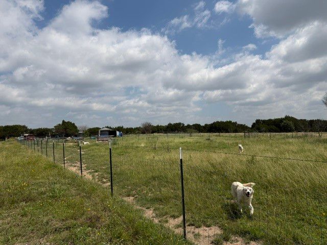 3828 W Fm 219, Hico, TX 76457