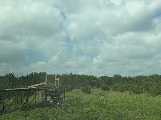 3828 W Fm 219, Hico, TX 76457
