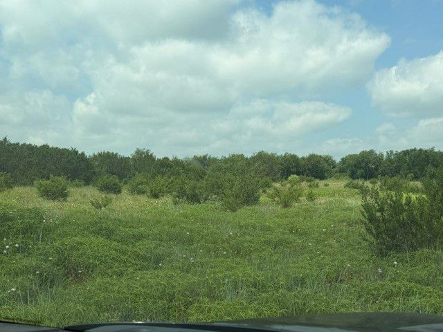 3828 W Fm 219, Hico, TX 76457
