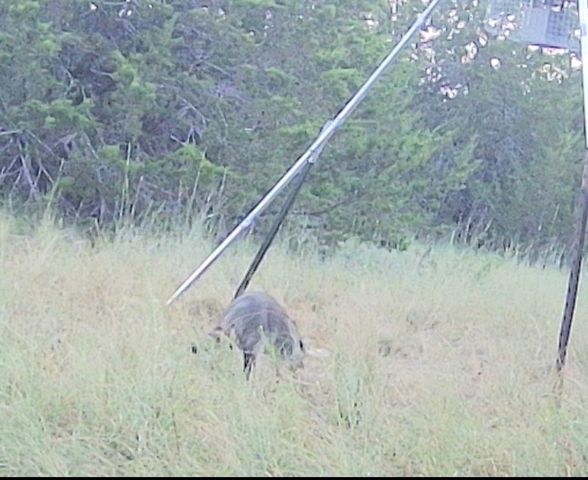3828 W Fm 219, Hico, TX 76457