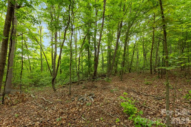 108 High Top Mountain Road A & B, Leicester, NC 28748