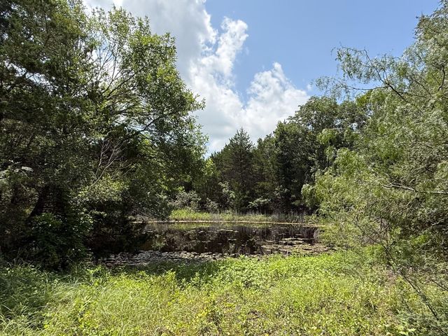 1359 County Road 208, Weimar, TX 78962