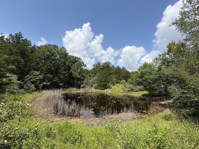 1359 County Road 208, Weimar, TX 78962