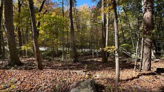 Main Street, Trumbull, CT 06611