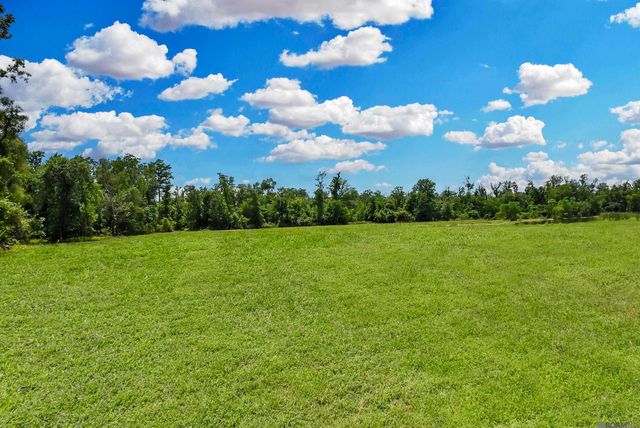 Lot 1-A-1 New River Rd, St Amant, LA 70774