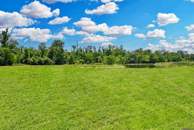 Lot 1-A-1 New River Rd, St Amant, LA 70774