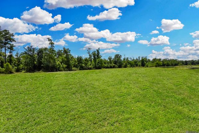 Lot 1-A-1 New River Rd, St Amant, LA 70774