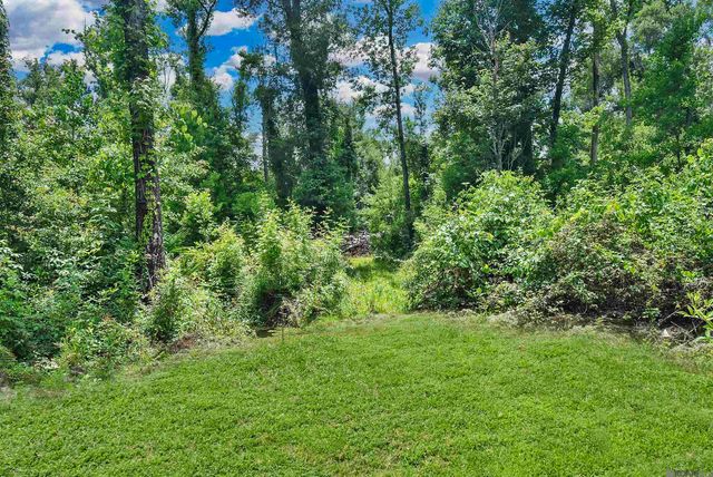 Lot 1-A-1 New River Rd, St Amant, LA 70774