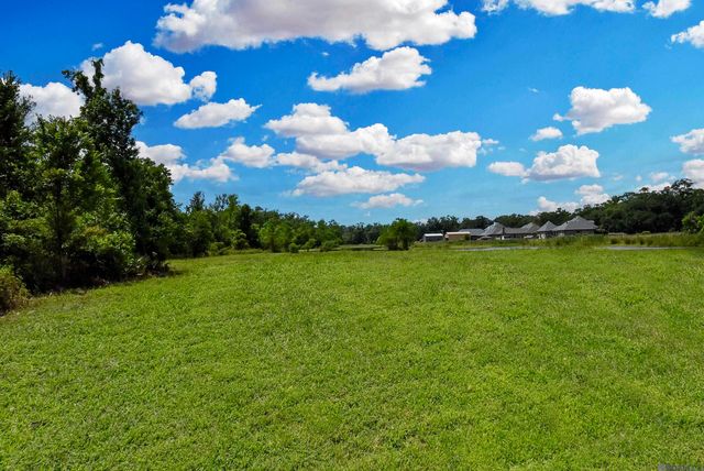 Lot 1-A-1 New River Rd, St Amant, LA 70774