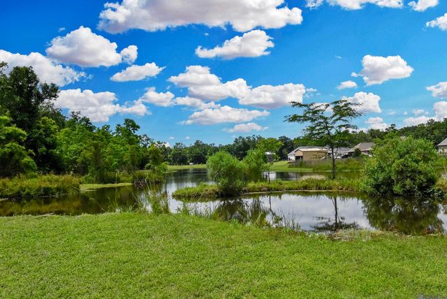 Lot 1-A-1 New River Rd, St Amant, LA 70774