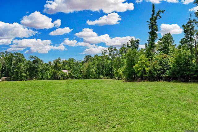 Lot 1-A-1 New River Rd, St Amant, LA 70774