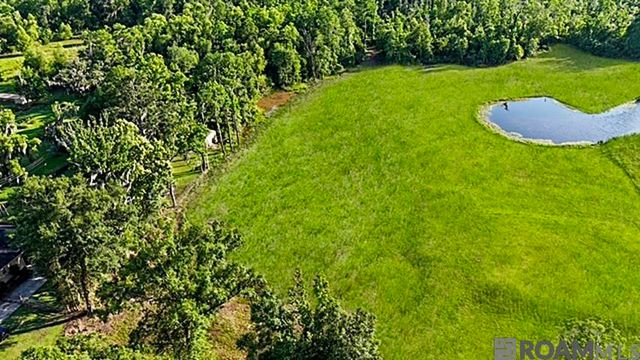 Lot 1-A-1 New River Rd, St Amant, LA 70774