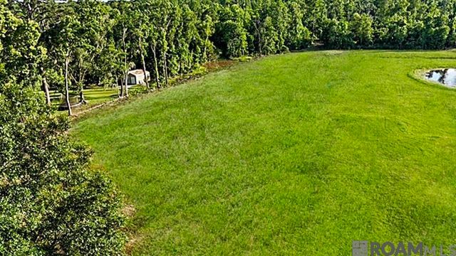 Lot 1-A-1 New River Rd, St Amant, LA 70774