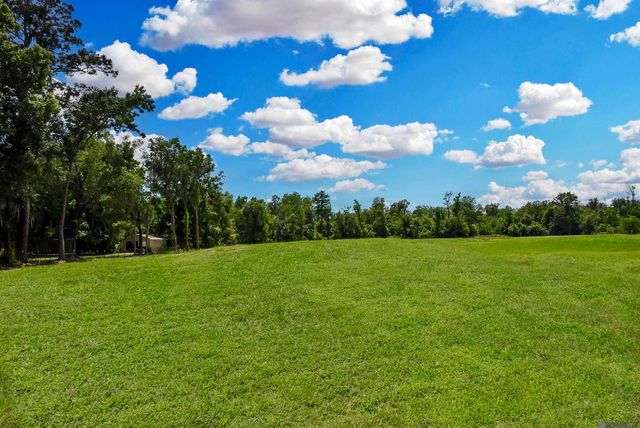 Lot 1-A-1 New River Rd, St Amant, LA 70774