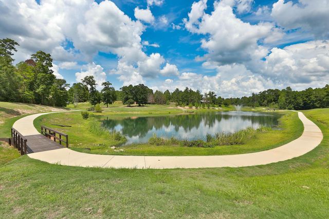 23506 Chisolm Trail, Montgomery, TX 77316