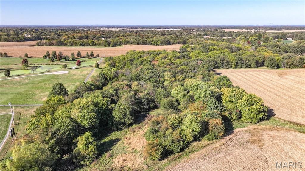 Image 3 of property listing at TBD State Hwy 111, Brighton, IL 62012