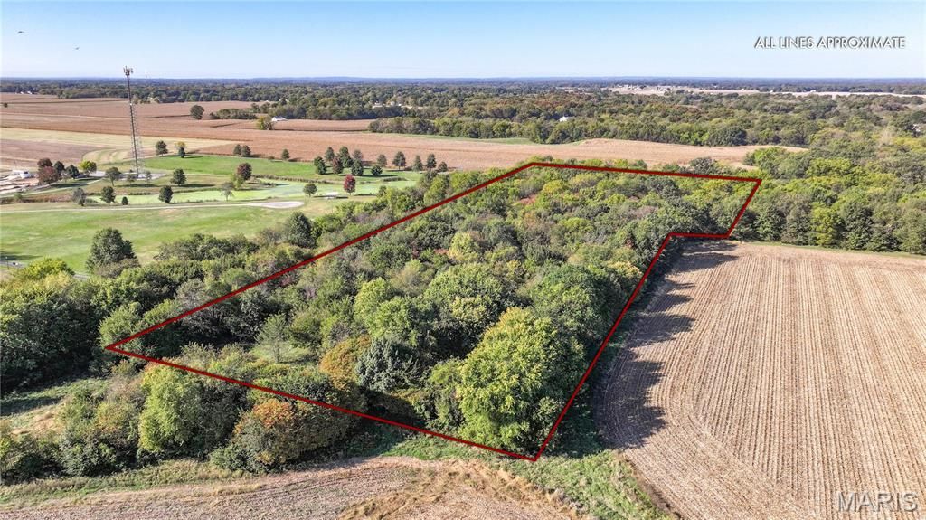 Image 4 of property listing at TBD State Hwy 111, Brighton, IL 62012