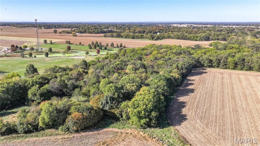 Image 5 of property listing at TBD State Hwy 111, Brighton, IL 62012