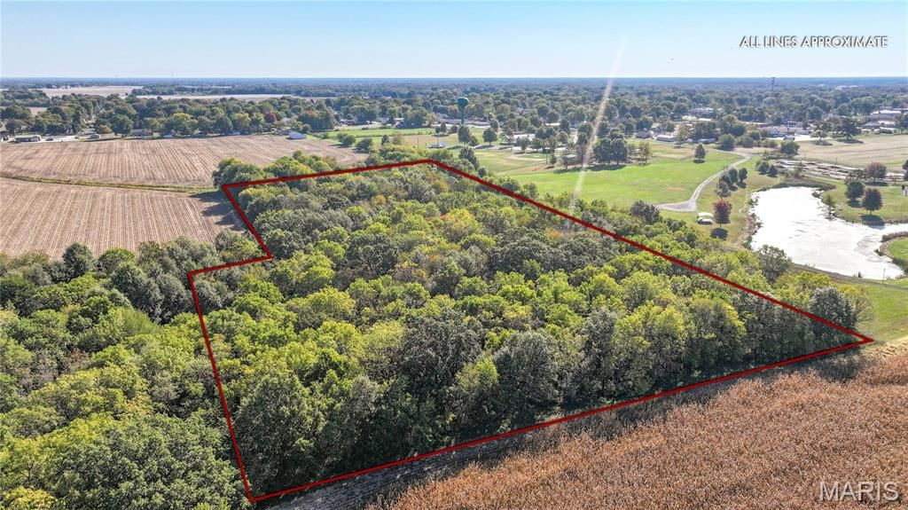 Image 6 of property listing at TBD State Hwy 111, Brighton, IL 62012