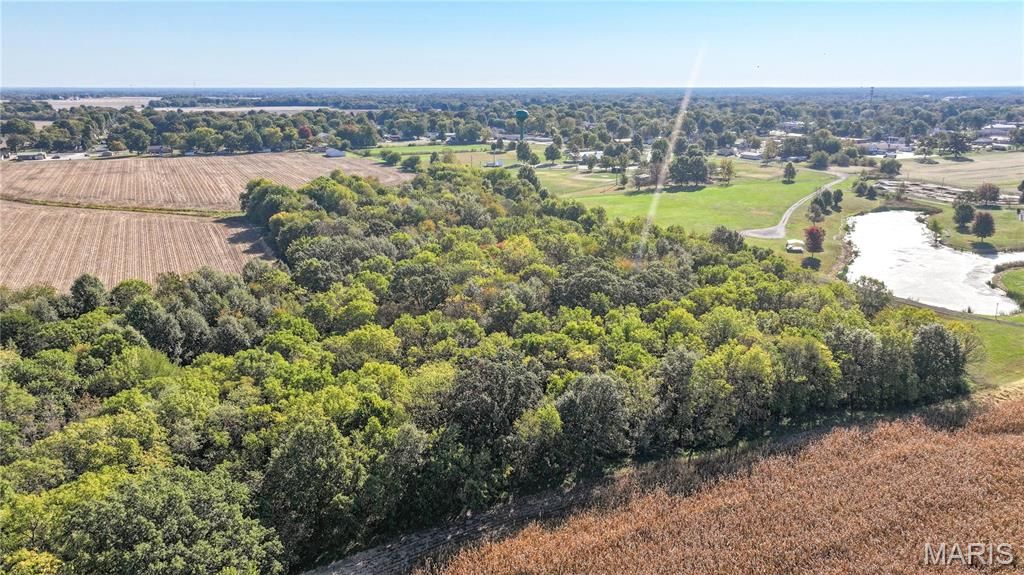 Image 7 of property listing at TBD State Hwy 111, Brighton, IL 62012