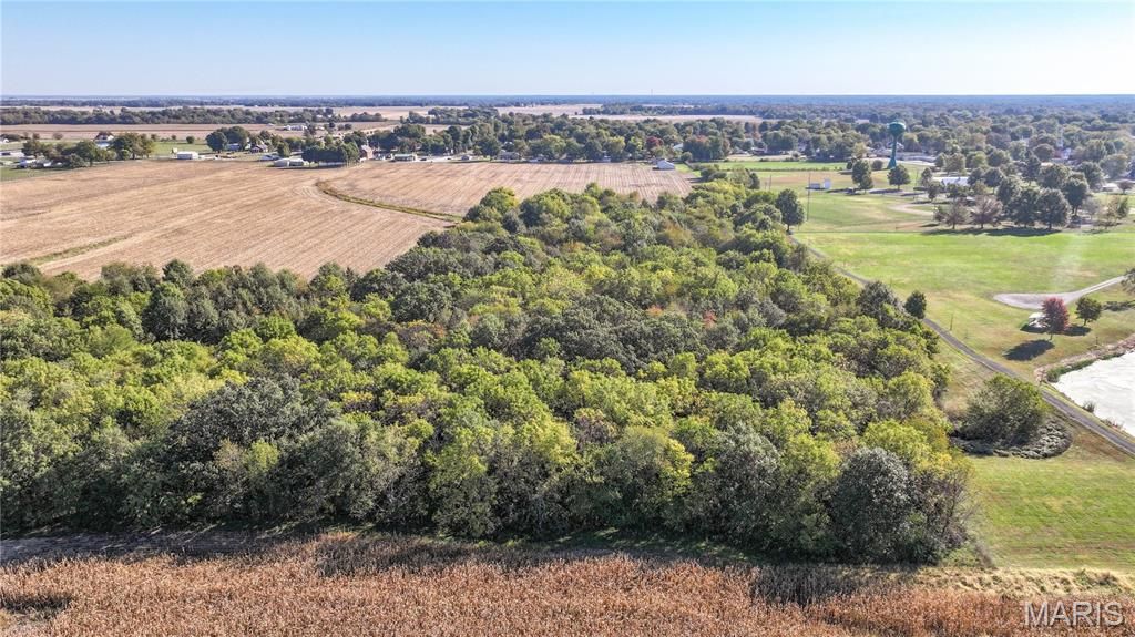 Image 8 of property listing at TBD State Hwy 111, Brighton, IL 62012