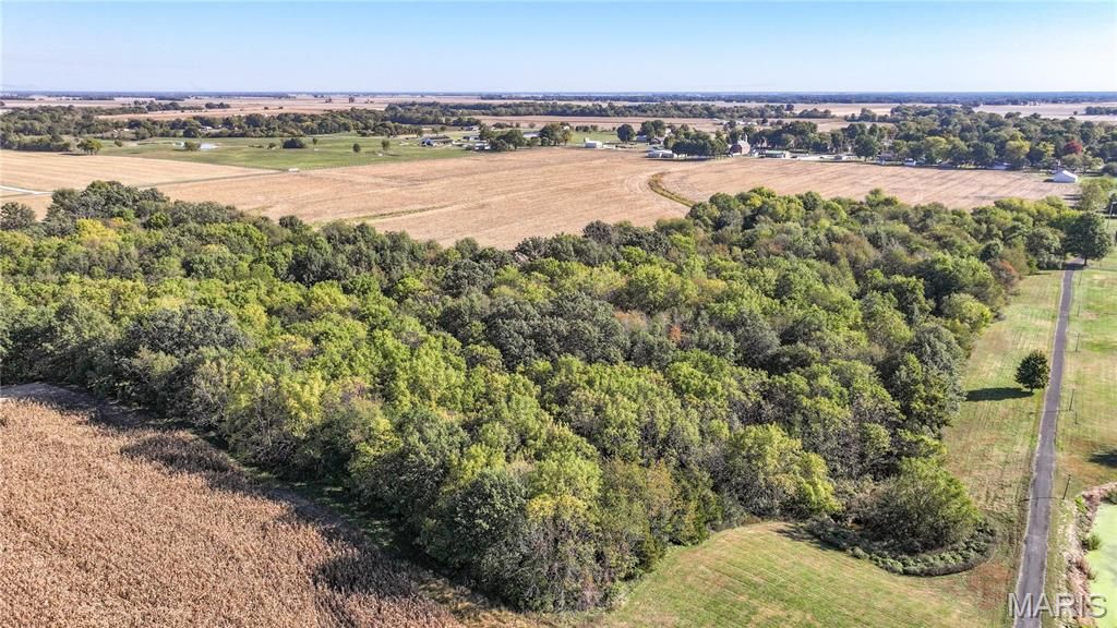 Image 9 of property listing at TBD State Hwy 111, Brighton, IL 62012