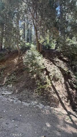 34207243 Mojave River Rd., Cedarpines Park, CA 92322