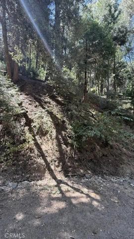34207243 Mojave River Rd., Cedarpines Park, CA 92322