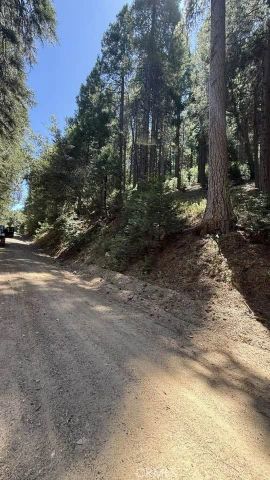 34207243 Mojave River Rd., Cedarpines Park, CA 92322